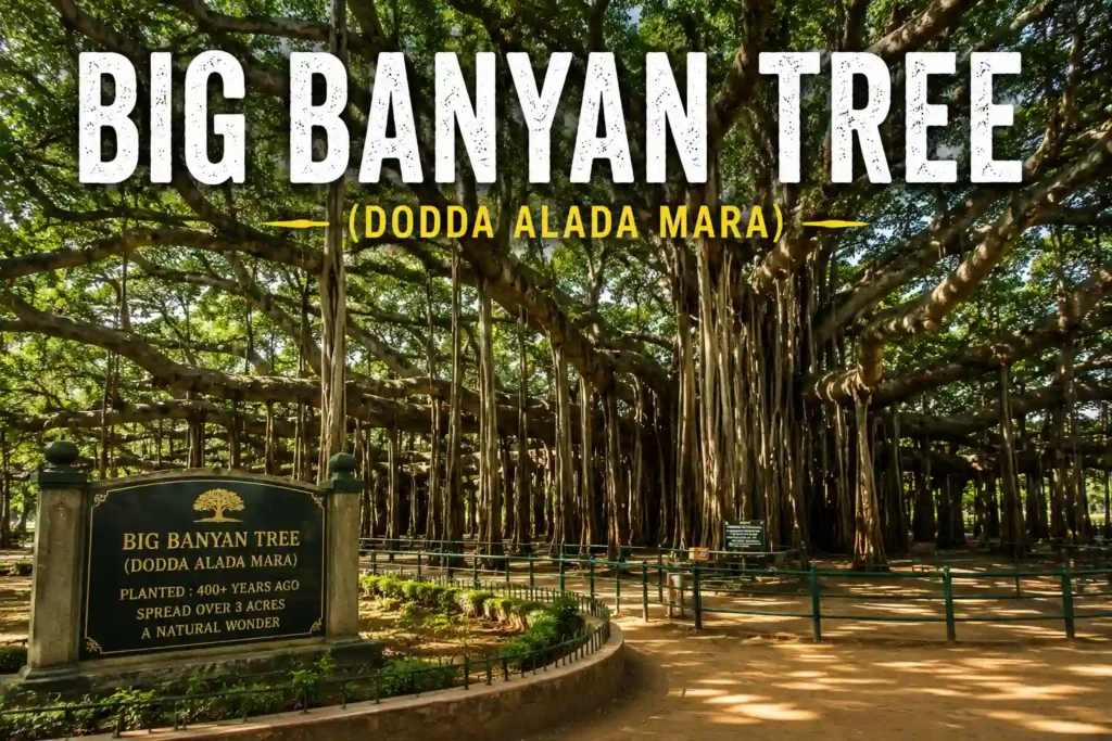 Big Banyan Tree (Dodda Alada Mara) 