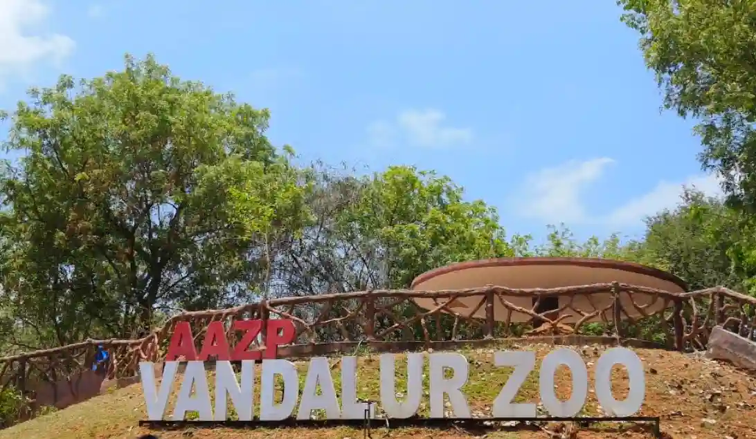 Vandalur Zoo Ticket Price 2026